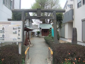 鳥居越しに祠と銀杏が見える。