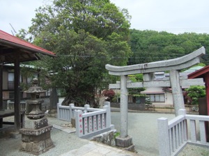 鳥居と神木