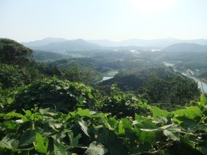 岡と入江の風景