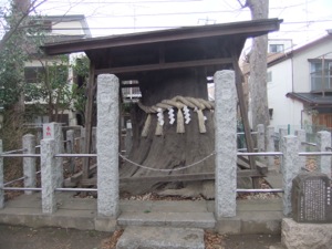 覆いやねの下の大きな切り株